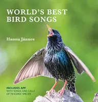 Najlepsze piosenki ptaków na świecie - World's Best Bird Songs