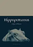 Hipopotam - Hippopotamus