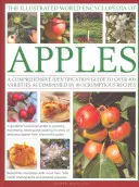 Ilustrowana światowa encyklopedia jabłek: A Comprehensive Identification Guide to Over 400 Varieties Accompanied by 60 Scrumptious Recipes - The Illustrated World Encyclopedia of Apples: A Comprehensive Identification Guide to Over 400 Varieties Accompanied by 60 Scrumptious Recipes