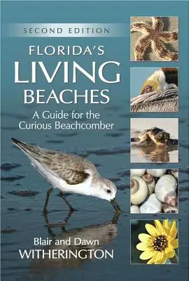 Żywe plaże Florydy: Przewodnik dla ciekawskich plażowiczów - Florida's Living Beaches: A Guide for the Curious Beachcomber