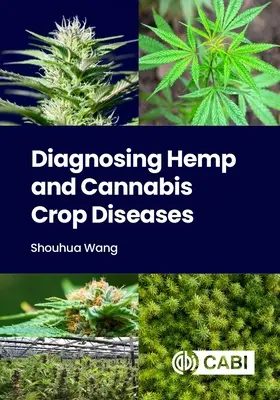 Diagnozowanie chorób upraw konopi i marihuany - Diagnosing Hemp and Cannabis Crop Diseases