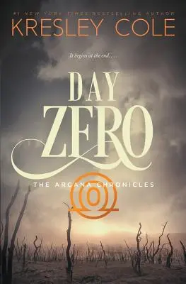 Dzień zero - Day Zero