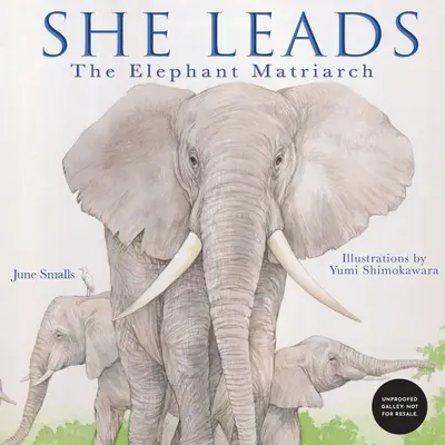 Ona prowadzi: Matriarcha słoni - She Leads: The Elephant Matriarch