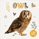 Sowa - Owl