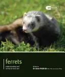 Fretki - Ferrets