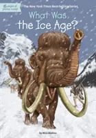 Czym była epoka lodowcowa? - What Was the Ice Age?