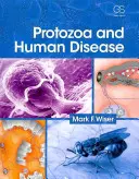 Pierwotniaki i choroby człowieka - Protozoa and Human Disease