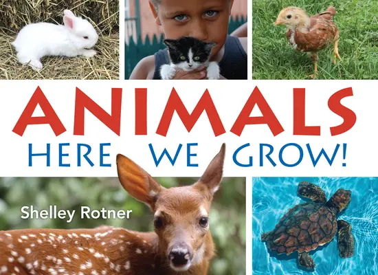 Zwierzęta! Tutaj rośniemy - Animals!: Here We Grow