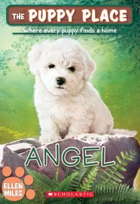 Anioł (the Puppy Place #46), 46 - Angel (the Puppy Place #46), 46