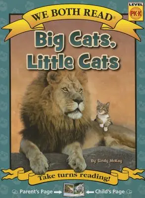 Oboje czytamy - Duże koty, małe koty (Pb) - Nonfiction - We Both Read-Big Cats, Little Cats (Pb) - Nonfiction