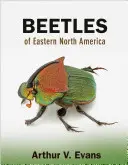 Chrząszcze wschodniej części Ameryki Północnej - Beetles of Eastern North America