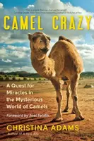 Szaleństwo wielbłądów: Poszukiwanie cudów w tajemniczym świecie wielbłądów - Camel Crazy: A Quest for Miracles in the Mysterious World of Camels