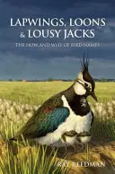 Czajki, słonki i nędzne kawki - Lapwings, Loons and Lousy Jacks