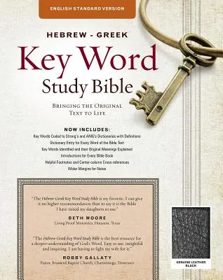 Hebrew-Greek Key Word Study Bible-ESV: Kluczowe spostrzeżenia na temat Słowa Bożego - Hebrew-Greek Key Word Study Bible-ESV: Key Insights Into God's Word