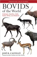 Bydło świata: Antylopy, gazele, bydło, kozy, owce i krewni - Bovids of the World: Antelopes, Gazelles, Cattle, Goats, Sheep, and Relatives