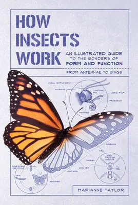 Jak działają owady: Ilustrowany przewodnik po cudach formy i funkcji - od anten po skrzydła - How Insects Work: An Illustrated Guide to the Wonders of Form and Function--From Antennae to Wings