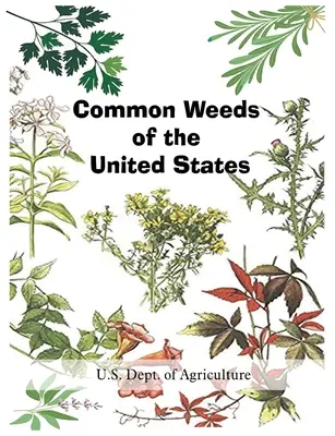 Powszechne chwasty w Stanach Zjednoczonych - Common Weeds of the United States