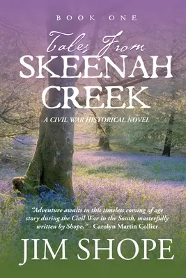 Tales From Skeenah Creek: Powieść historyczna o wojnie secesyjnej - Tales From Skeenah Creek: A Civil War Historical Fiction Novel