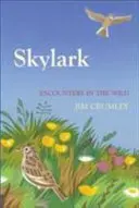 Skowronek - Skylark