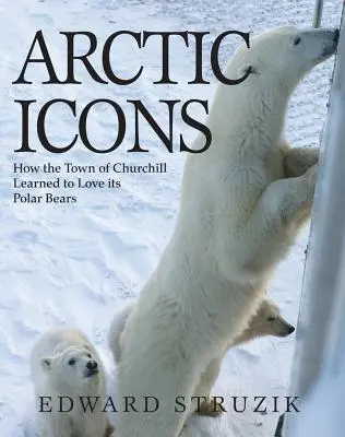 Ikony Arktyki: Jak miasto Churchill nauczyło się kochać swoje niedźwiedzie polarne - Arctic Icons: How the Town of Churchill Learned to Love Its Polar Bears