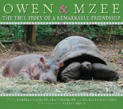 Owen i Mzee: Prawdziwa historia niezwykłej przyjaźni - Owen and Mzee: The True Story of a Remarkable Friendship