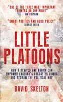 Little Platoons - Jak odrodzony One Nation może wzmocnić zapomniane angielskie miasta i przerysować mapę polityczną? - Little Platoons - How a revived One Nation can empower England's forgotten towns and redraw the political map