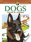 Kolorowanka Creative Haven Psy według numerów - Creative Haven Dogs Color by Number Coloring Book