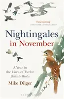 Słowiki w listopadzie - rok z życia dwunastu brytyjskich ptaków - Nightingales in November - A Year in the Lives of Twelve British Birds