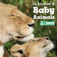 Moja pierwsza książka o zwierzętach - My First Book of Baby Animals