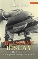 Krwawa Zatoka Biskajska: Historia V Grupy: Historia V Grupy/Kampfgeschwader 40 - Bloody Biscay: The History of V Gruppe: The History of V Gruppe/Kampfgeschwader 40