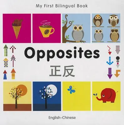 Moja pierwsza dwujęzyczna książka - przeciwieństwa (angielsko-chiński) - My First Bilingual Book-Opposites (English-Chinese)