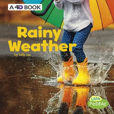 Deszczowa pogoda: Książka 4D - Rainy Weather: A 4D Book