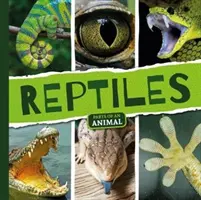 Gady - Reptiles