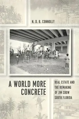 Świat bardziej konkretny: Nieruchomości i przebudowa południowej Florydy Jima Crowa - A World More Concrete: Real Estate and the Remaking of Jim Crow South Florida