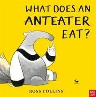 Co je mrówkojad? - What Does An Anteater Eat?