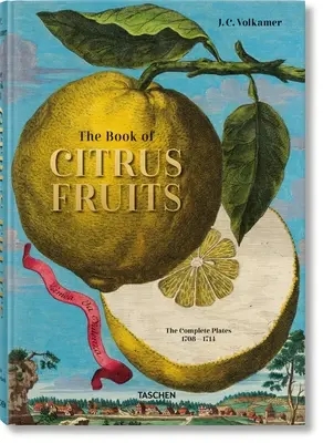 J. C. Volkamer: Księga owoców cytrusowych - J. C. Volkamer. the Book of Citrus Fruits