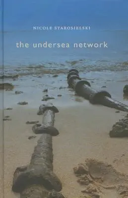 Sieć podmorska - Undersea Network