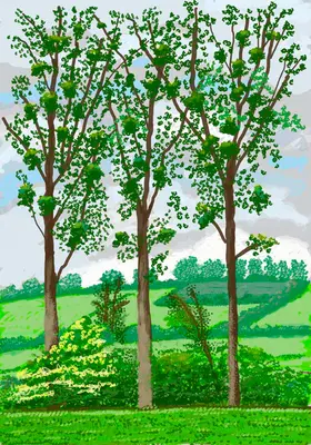 David Hockney: Nadejście wiosny w Normandii, 2020 r. - David Hockney: The Arrival of Spring in Normandy, 2020