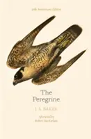 Peregrine: 50th Anniversary Edition - posłowie autorstwa Roberta Macfarlane'a - Peregrine: 50th Anniversary Edition - Afterword by Robert Macfarlane