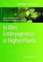 Embriogeneza in vitro u roślin wyższych - In Vitro Embryogenesis in Higher Plants