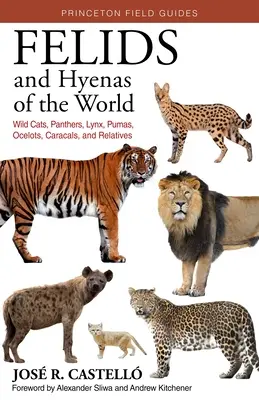 Felidy i hieny świata: Żbiki, pantery, rysie, pumy, oceloty, karakale i krewniacy - Felids and Hyenas of the World: Wildcats, Panthers, Lynx, Pumas, Ocelots, Caracals, and Relatives