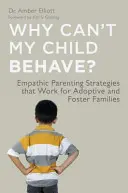 Dlaczego moje dziecko nie potrafi się zachować? Empatyczne strategie rodzicielskie, które sprawdzają się w rodzinach adopcyjnych i zastępczych - Why Can't My Child Behave?: Empathic Parenting Strategies That Work for Adoptive and Foster Families