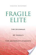 Krucha elita: Dylematy najlepszych studentów chińskich uniwersytetów - Fragile Elite: The Dilemmas of China's Top University Students
