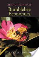 Ekonomia trzmieli: Z nową przedmową - Bumblebee Economics: With a New Preface