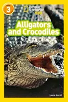 Aligatory i krokodyle - poziom 3 - Alligators and Crocodiles - Level 3