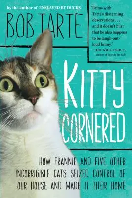 Kitty Cornered: Jak Frannie i pięć innych niepoprawnych kotów przejęło kontrolę nad naszym domem i uczyniło go swoim domem - Kitty Cornered: How Frannie and Five Other Incorrigible Cats Seized Control of Our House and Made It Their Home