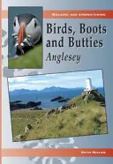 Ptaki, buty i ciastka: Anglesey - Birds, Boots and Butties: Anglesey