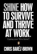 Shine - Jak przetrwać i rozwijać się w pracy - Shine - How To Survive And Thrive At Work