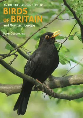 Przewodnik identyfikacji ptaków Wielkiej Brytanii i Europy Północnej - Identification Guide to Birds of Britain & Northern Europe