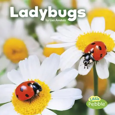 Biedronki - Ladybugs